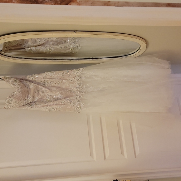 Beautiful GIGI Designs by La Femme lace gown - Picture 4 of 14